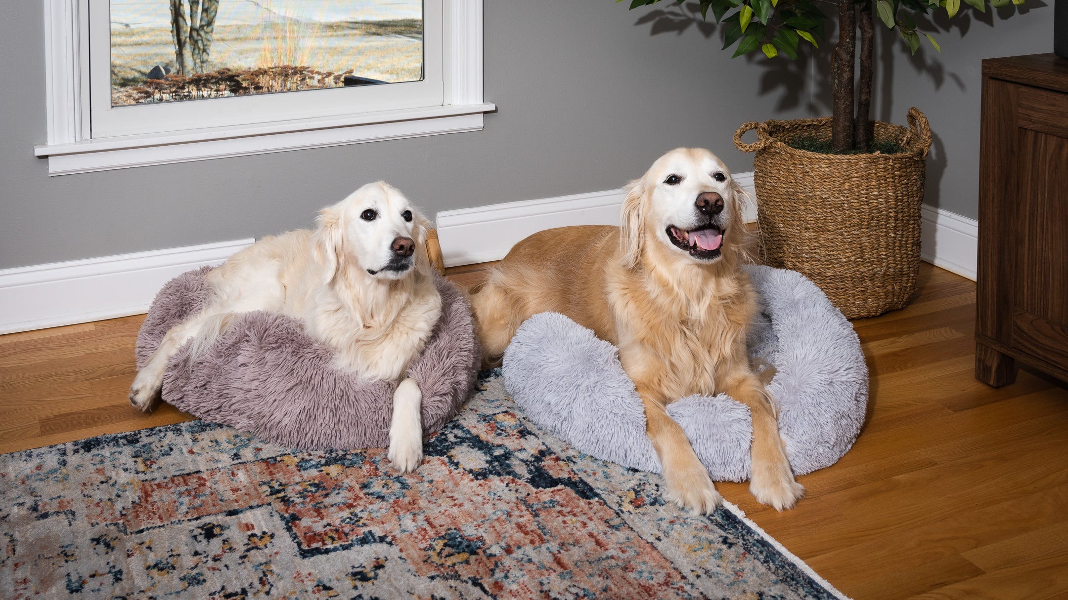 5 Reasons Your Dog Needs An Anxiety Calming Dog Bed