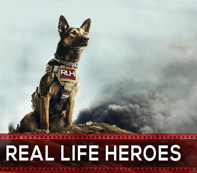 Dogs Are Heroes | Dogs Saving Human Lives