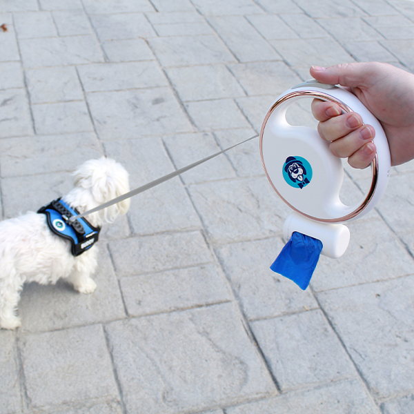 All-In-One PetSwag Leash