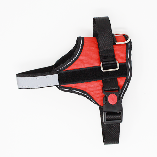 No-Pull Dog Harness (Used In New Condition)